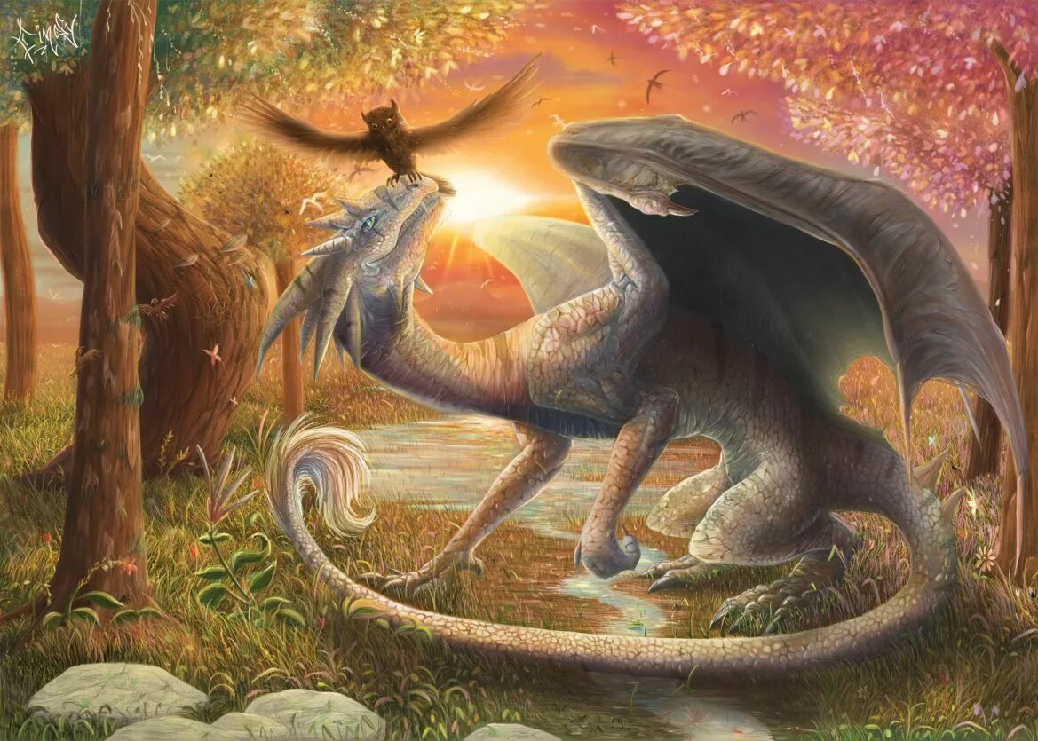 драконы добра