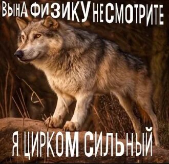 На физику не смотрите я духом