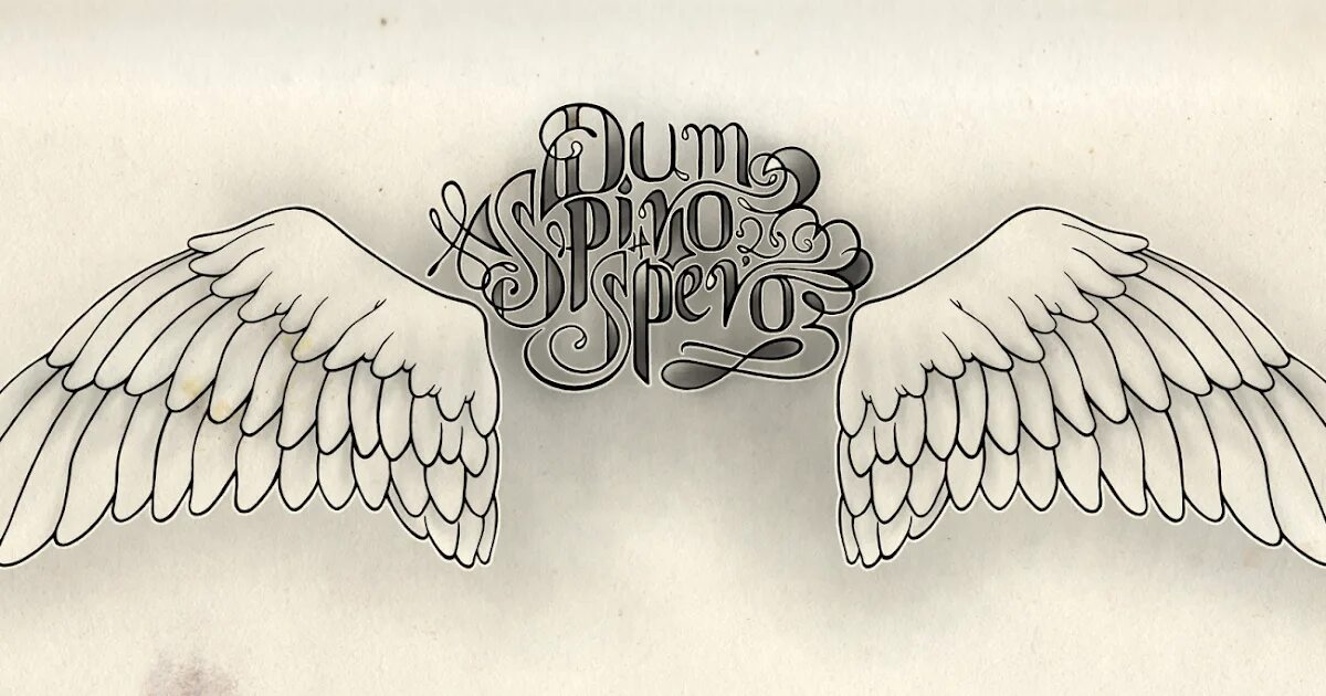 Думы с латыни. Думы с латыни. Пока дышу надеюсь на латыни. Пока живу надеюсь. Dum spiro spero пока дышу надеюсь.