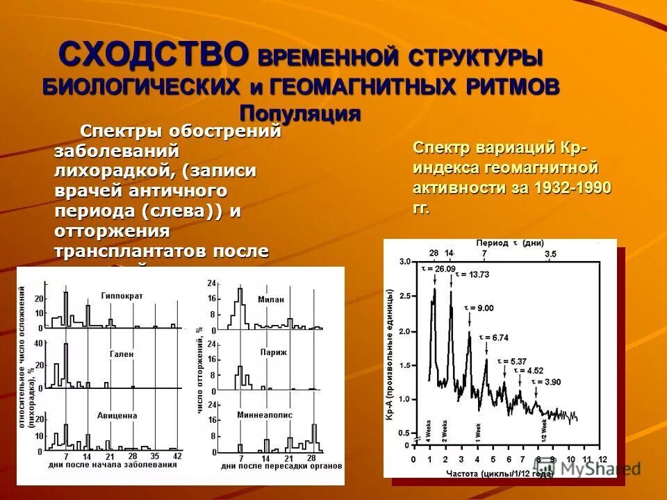 типы возрастных спектров. ограничивающий фактор в экологии. диапазон популяции. структура популяции это в экологии. динамика численности популяции.