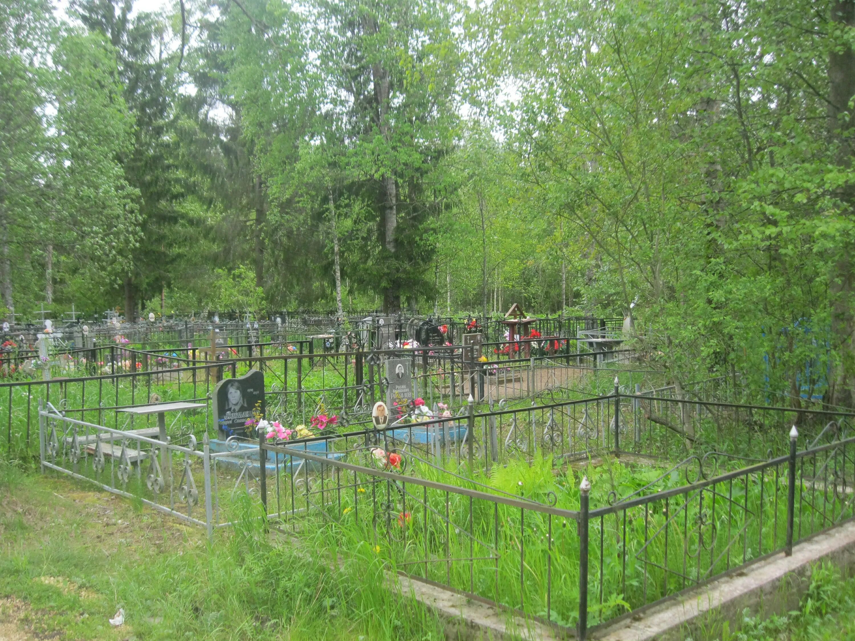 Северное кладбище уфа. Метро шуваловский проспект на карте. Кладбище ижевск. Проспект просвещения северное кладбище. Северное кладбище в питере.