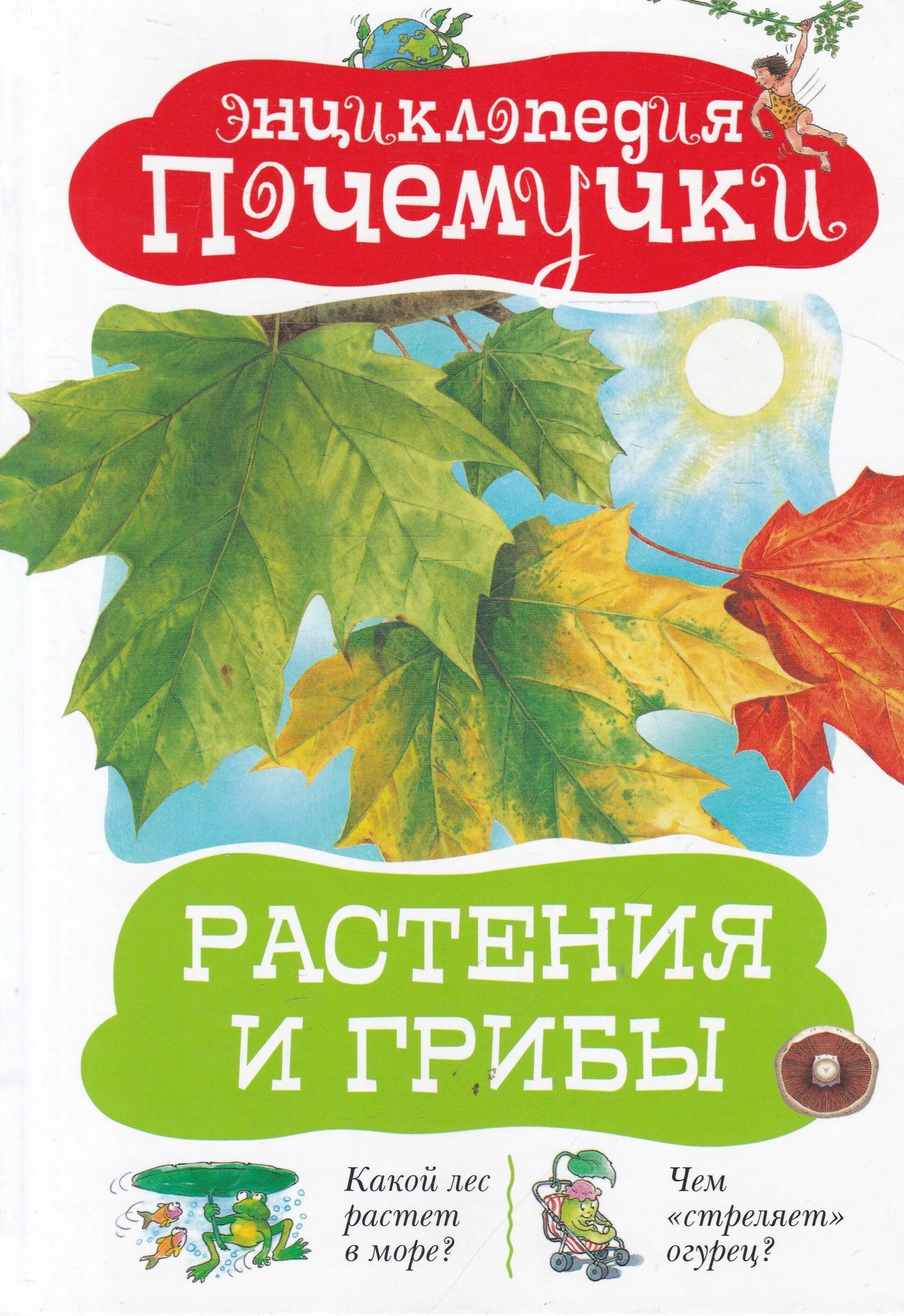 Книга грибы. Грибы целители. Книги о грибах растениях. Ядовитые растения книга. Грибы большая энциклопедия.