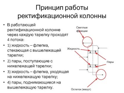 17 принцип
