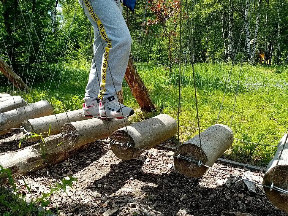 Ренштайг тропа. Лосиный остров экотропа босиком. Лосиный остров дендрарий босоногая тропа. Парк лосиный остров босоногая тропа. Балашиха лосиный остров босоногая тропа.