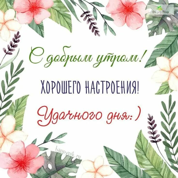Доброе утро 1 августа. в 2022 г Картинки, Надписи, Открытки