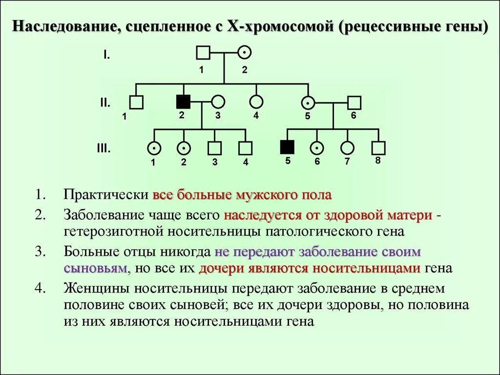 Доминантный сцепленный с х хромосомой заболевания. Родословная х сцепленный рецессивный. Критерии х сцепленного рецессивного типа наследования. X сцепленное рецессивное наследование родословная. X сцепленный рецессивный Тип наследования.