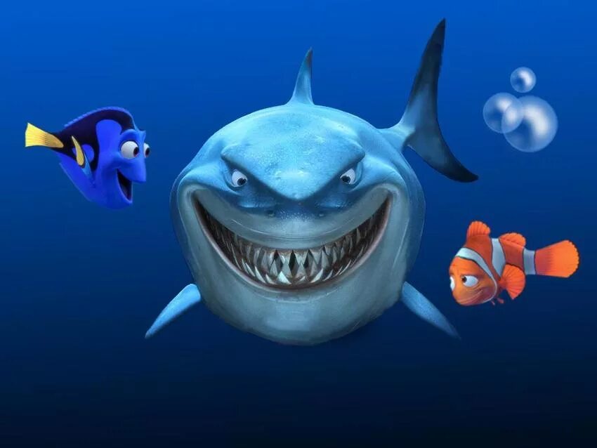 В поисках немо мультфильм 2003. Акула брюс из немо. В поисках немо акула. Акула из немо. Акула из немо добрая.