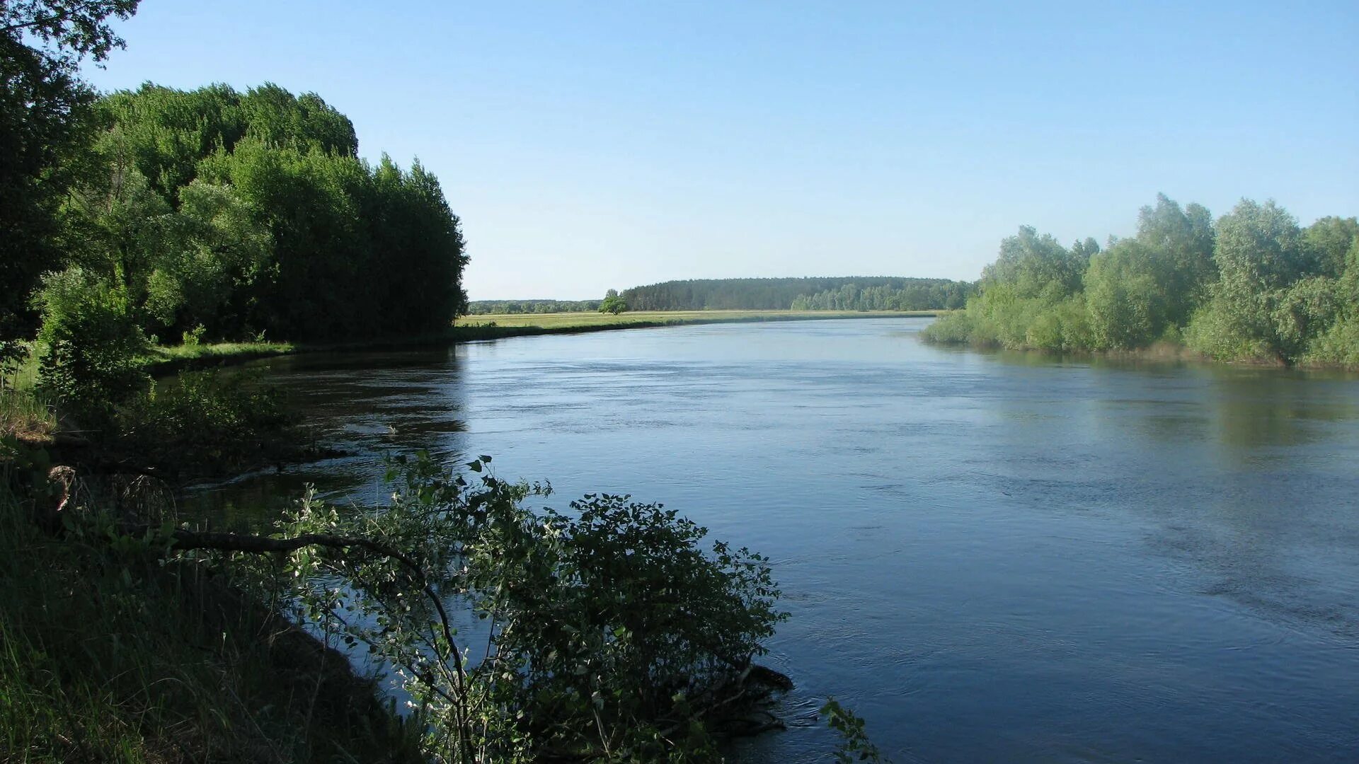 Река Молома. Река Молома Юрьево. Молома Кировская область. Река Сейм Сумская область.