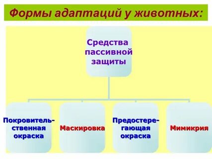 Средства адаптации