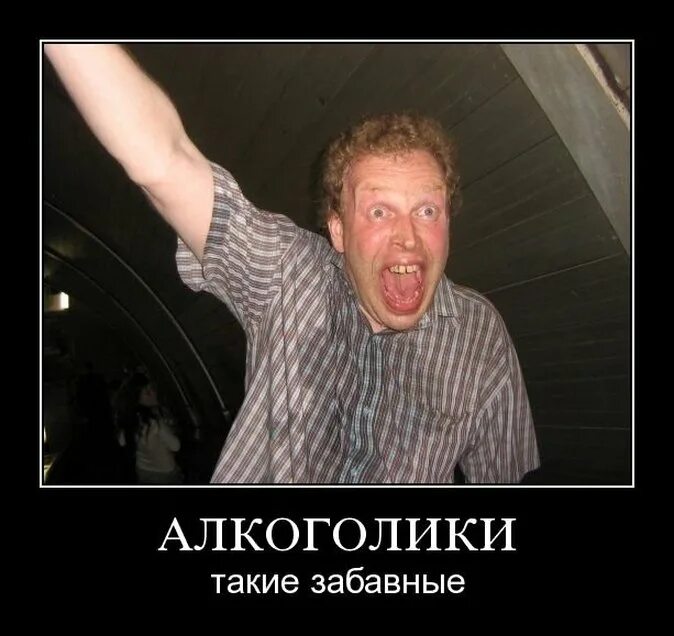 Смешные картинки алкоголиков. Смешные картинки алкоголиков. Прикольные бочки. Прикольные картинки про пьяниц. Смешные картинки алкоголиков.