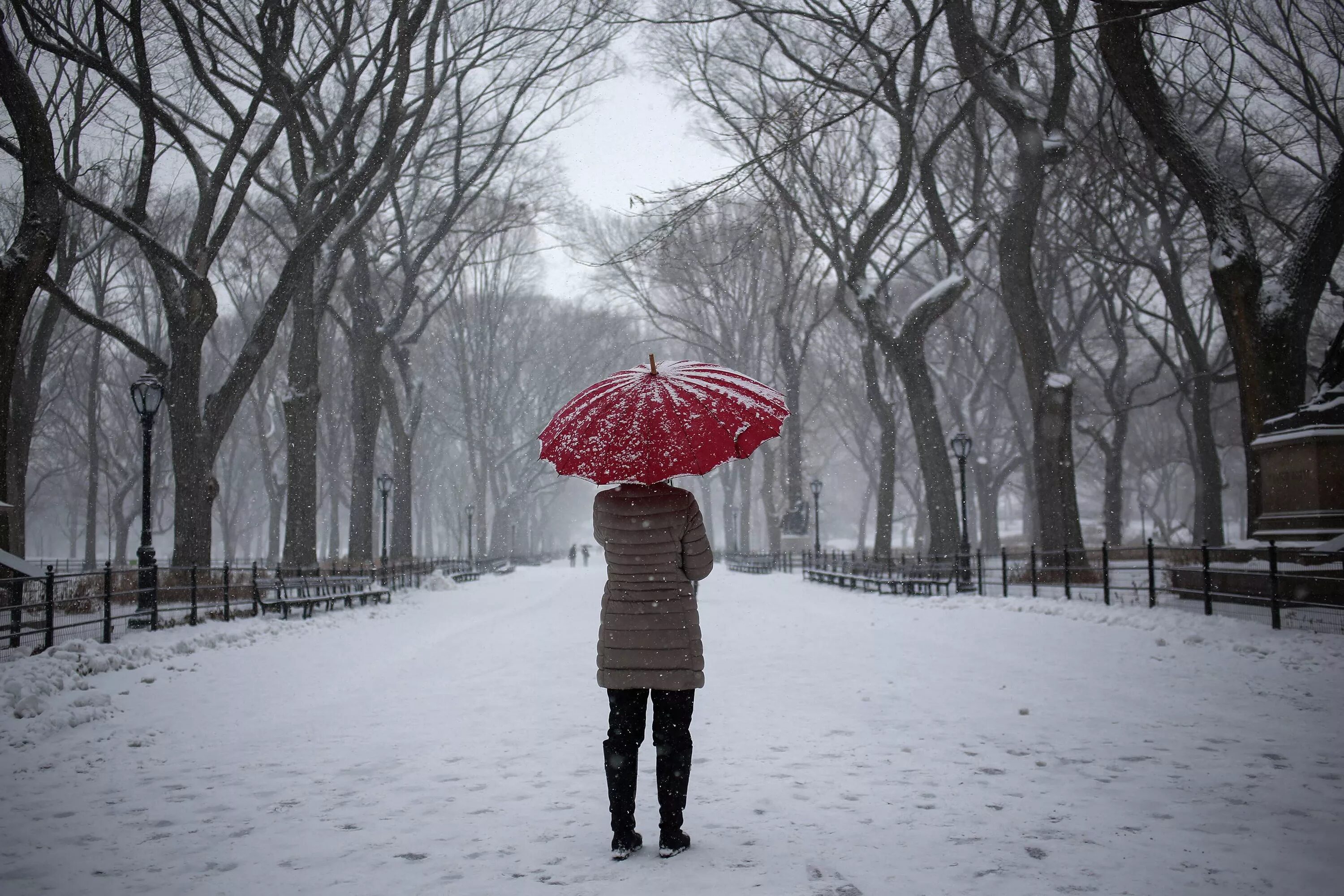 Дождь снег что общего. Дождь со снегом картинки. harsh weather. georgia but rain and snow.