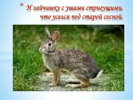 Тумаки это