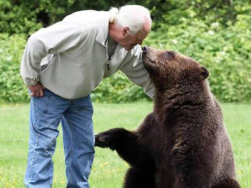 Friendly bear