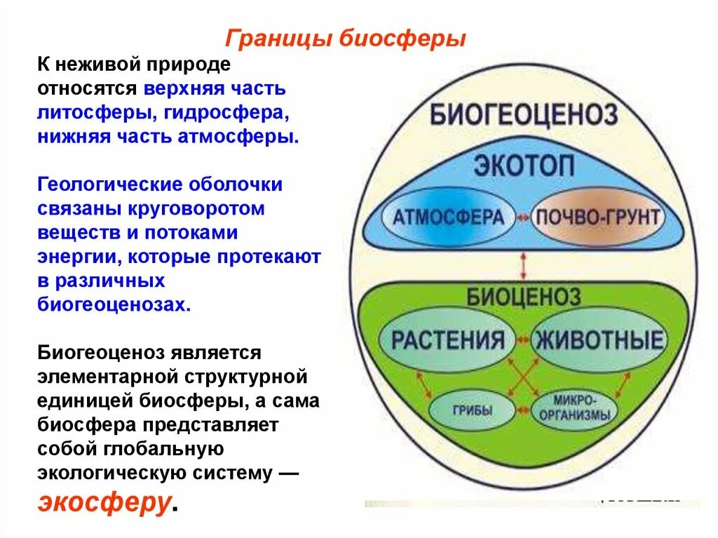 Биосфера. Биосфера сфера жизни. Биосфера ее среды. Структура оболочки биосферы. Человек является частью биосферы докажите правильность этого