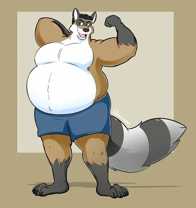 Thomas the Raccoon inflation. Thomas the Raccoon belly. Inflation Raccoon belly. Big Raccoon by th0mas.
