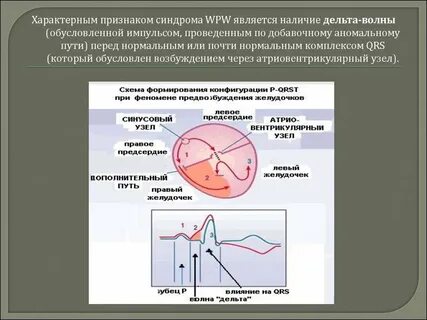 Феномен сердце