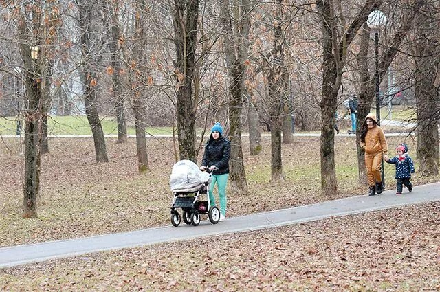 Прогулки чтения