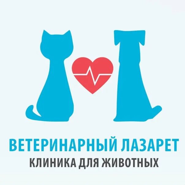 Ветеринарные клиники липецка отзывы. Ветеринарный лечебно диагностический центр. Липецк, улица циолковского, 18а. Ветеринарка на соколе липецк. Ветеринарные клиники липецка отзывы.