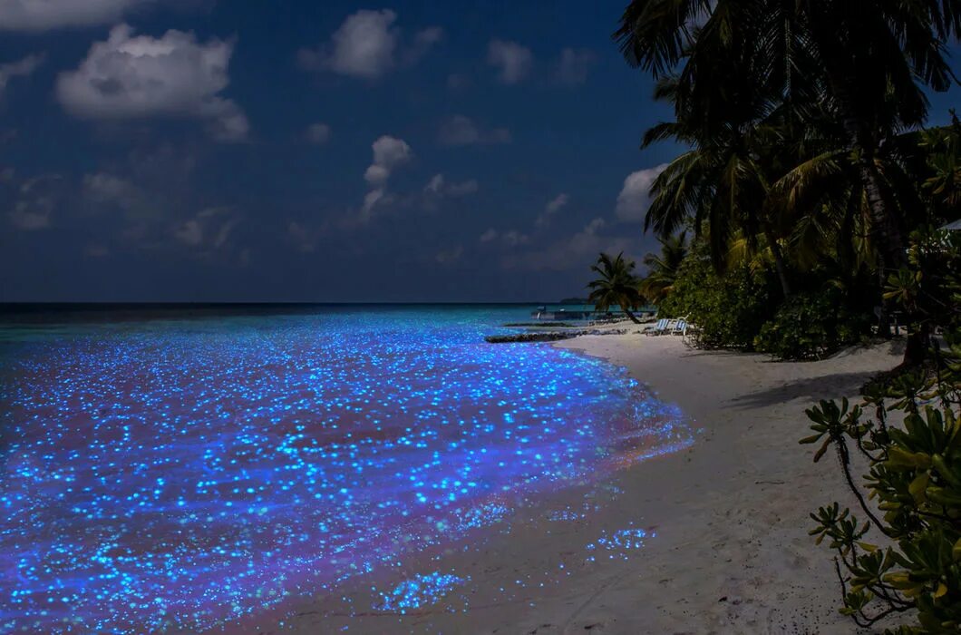 Блестело море все в ярком. Блестящее море. Волна и солнце. Блестело море все в ярком. Блестело море все в ярком.