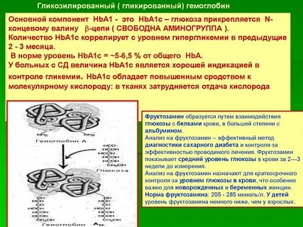 Методы подсчета гемоглобина