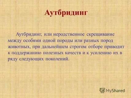 Аутбридинг примеры