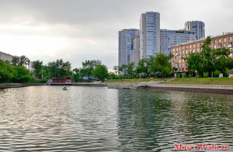 Большой пресненский пруд в москве. Москва сити красногвардейские пруды. Нижний красногвардейский пруд москва. Парк «красная пресня» — красногвардейские пруды (нижний пруд). Парк красногвардейские пруды и красная пресня в москве.