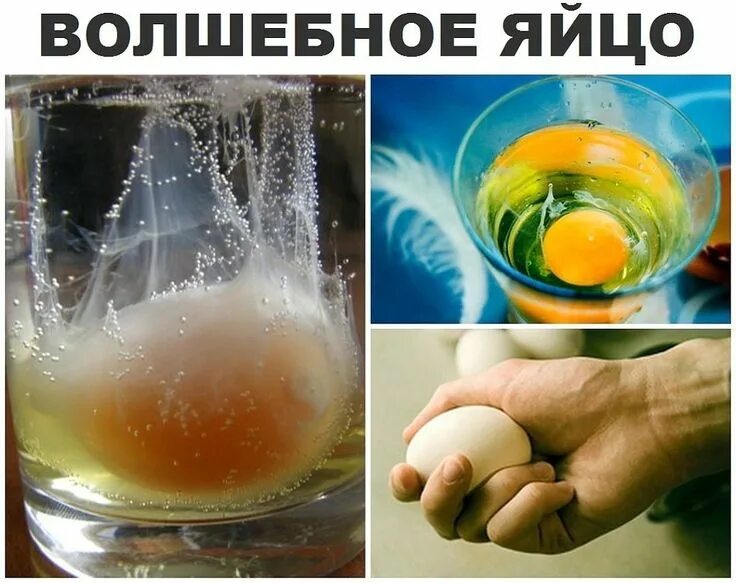 Одноклассники Лечение, Здоровье, Яйца