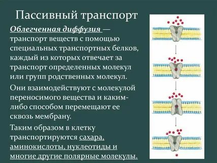 Механизм транспорт