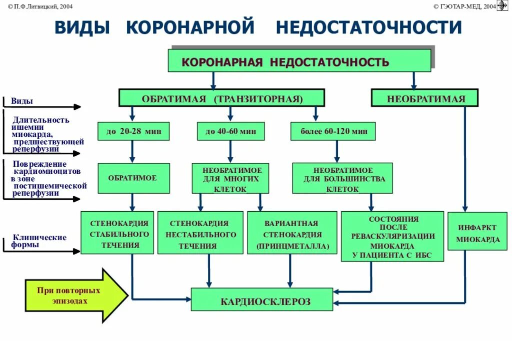 Патогенез коронарной недостаточности патофизиология. Коронарная недостаточность механизм развития. Патогенетические механизмы коронарной недостаточности. Острая коронарная недостаточность механизм. Сердечная недостаточность схема