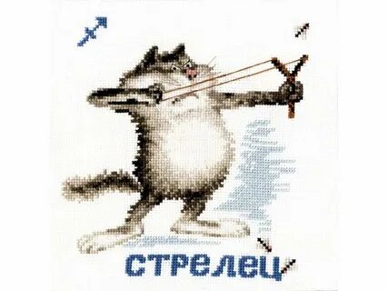 Кот стрелец