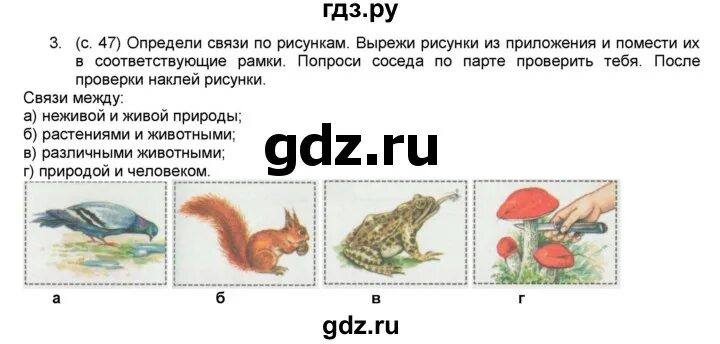 Вырежи рисунки из приложения и составь. Определи связи по рисункам. связь между различными животными 2 класс. определите связи по рисункам вырежи. определи связи по рисункам вырежи рисунки.