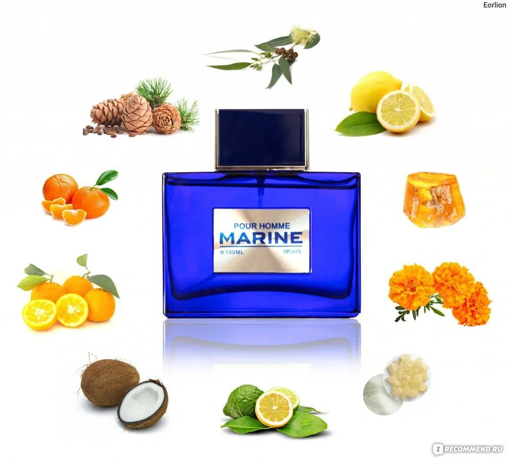 Pour homme marine. Духи Marine мужские. Blue Marine туалетная вода мужская. Prive Illusion pour homme туалетная. Avenos Marine духи мужские или женские.