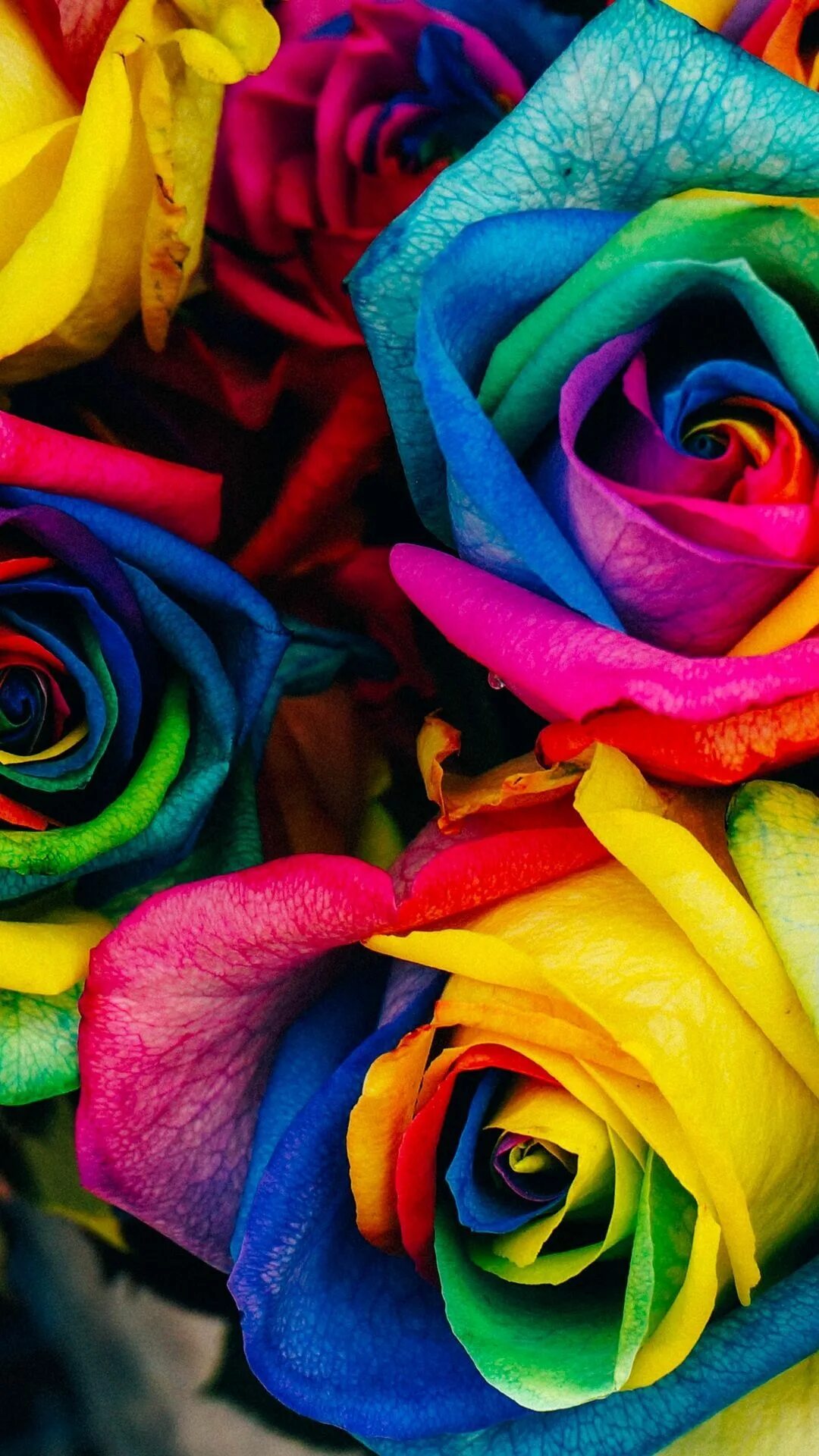 1 colourful