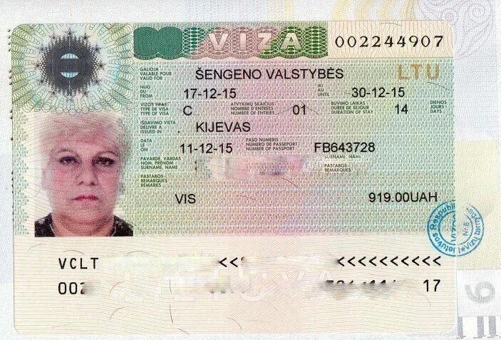 Шенген сегодня. Шенген. Одноразовая шенгенская виза. Финский шенген фото. Как выглядит финская виза.