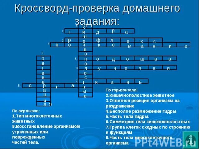 Кроссворд по биологии. Биологический кроссворд. Кроссворд по биологии 9 класс. Кроссворд по биологии 7 класс. Реакция организма кроссворд