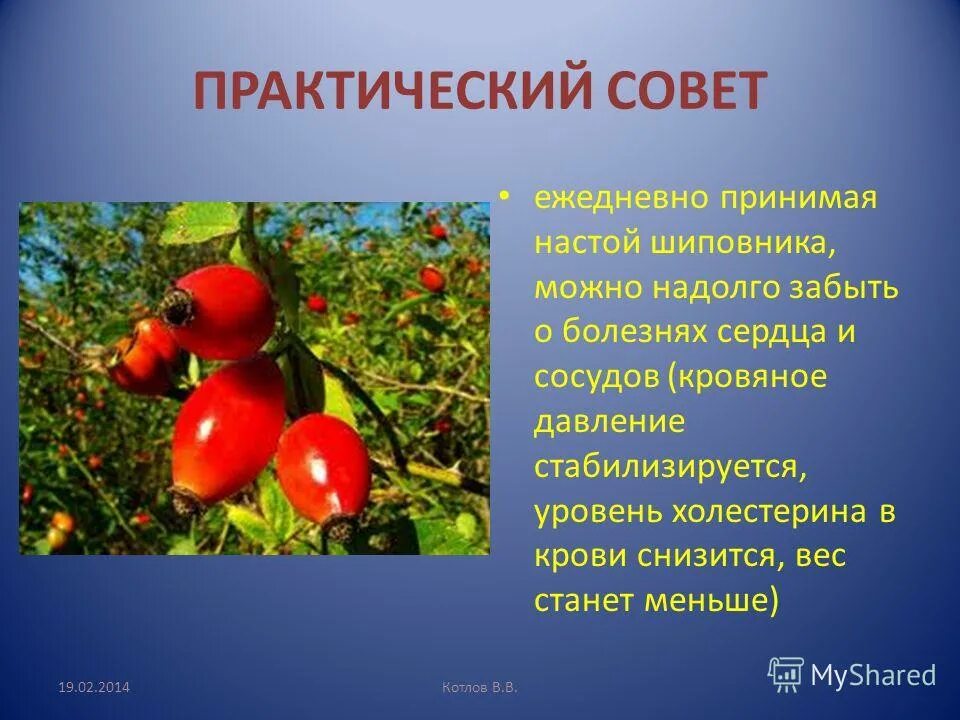 сложно но можно реклама. ежедневно принимаю. ежедневно принимаю. ежедневно принимаю. ежедневно принимаю.