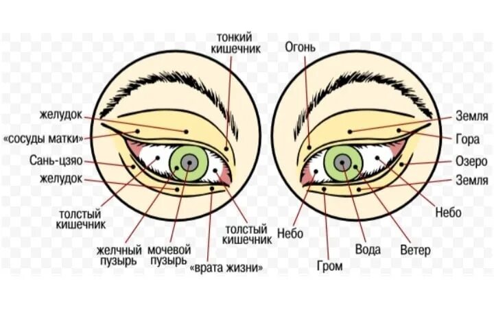 Болезни по зрачкам глаз. Диагностика заболеваний по глазам. Выявление болезней по глазам.