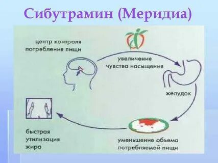 Сибутрамин это