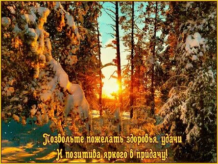 День зимнего солнцестояния картинки с пожеланиями