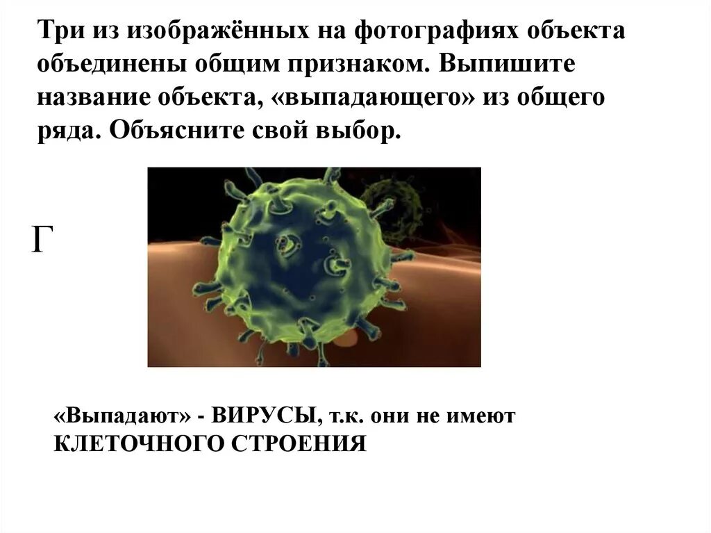 Вирусы грибы растения объединены общим признаком. Объект выпадающий из общего ряда вирусы растения животные. Общие признаки животных растений и вирусов. Вирусы бактерий и растений. Общий признак у вируса и животных.