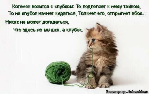 Начинать броситься
