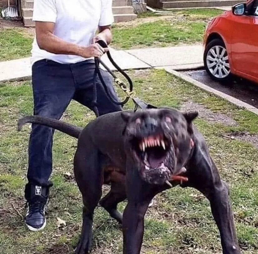Совсем не страшно быть