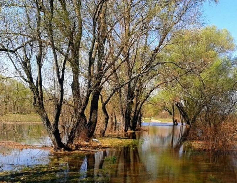 Апрель. Беларусь Весенняя. Белоруссия весной. Иди апрель 16