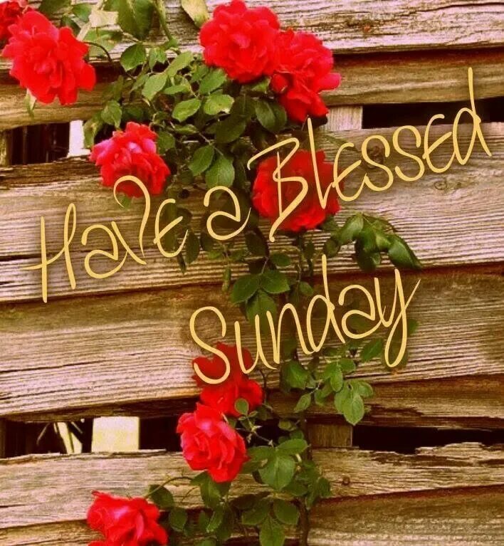 Sunday. Happy sunday. открытки happy sunday. sunday картинки. beautiful sunday.