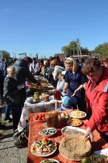 Погода северо казахстанская область село чистополье