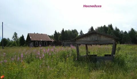 Погода на месяц в камчуге