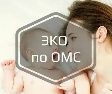Эко по омс 2023