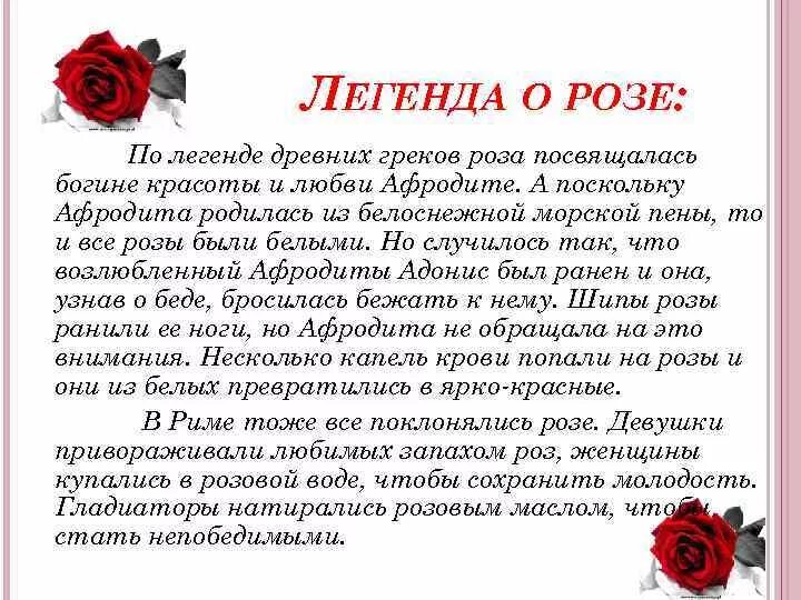 Почему розу назвали розой. Легенда о Розе цветке. Легенда о Розе для детей. Интересная информация о Розе.