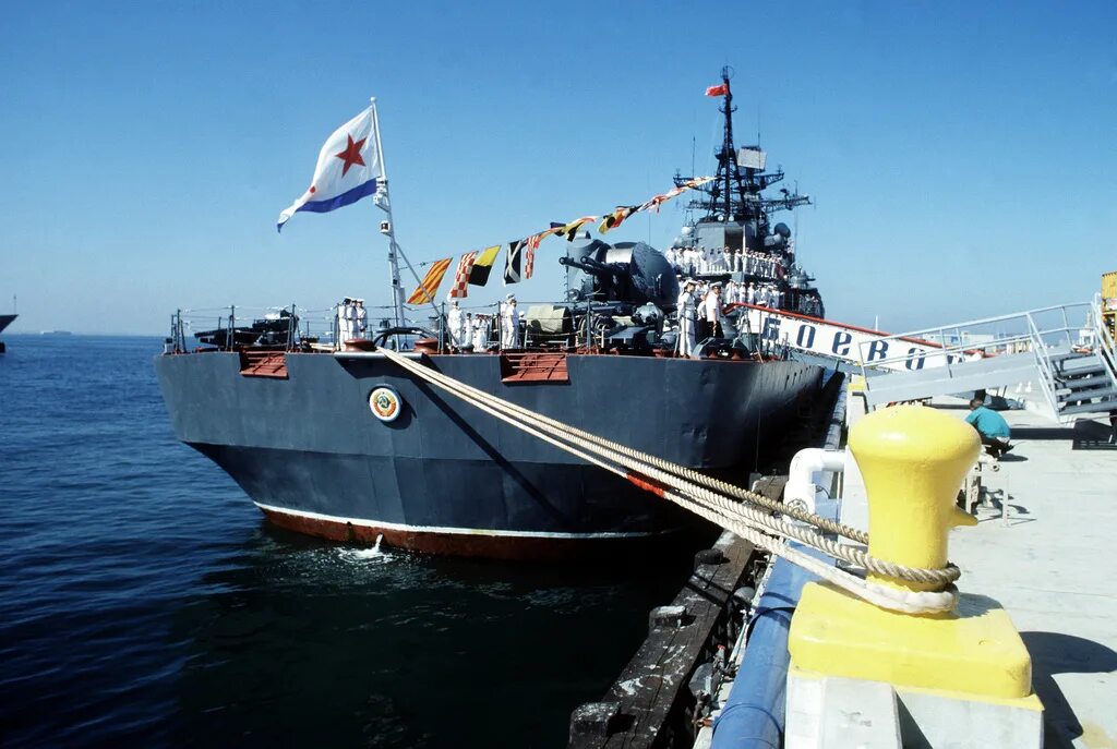 Эскадренные миноносцы проекта 956. Тоф эсминец безбоязненный. Военный корабль эсминец. Эм боевой тихоокеанский флот. Эскадренные миноносцы проекта 956.