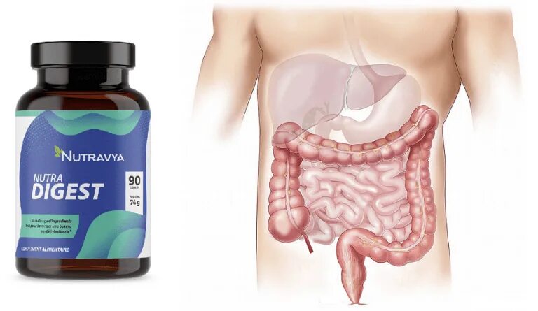 Reader's digest перевод. Reader's digest на русском. Literary digest 1936. Reader's digest подарки. Digest authentication apache.